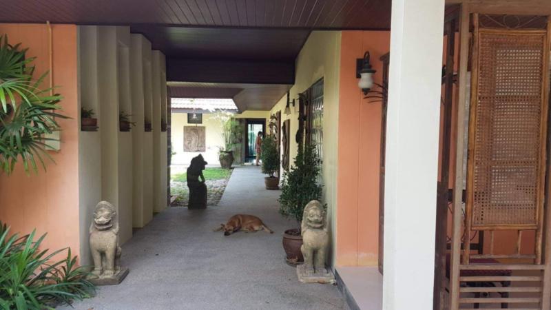 รูปภาพสินค้า